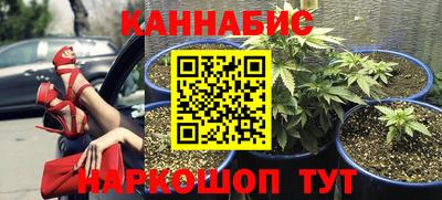 индика Берёзовский