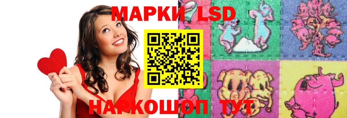 ЛСД экстази ecstasy Зима