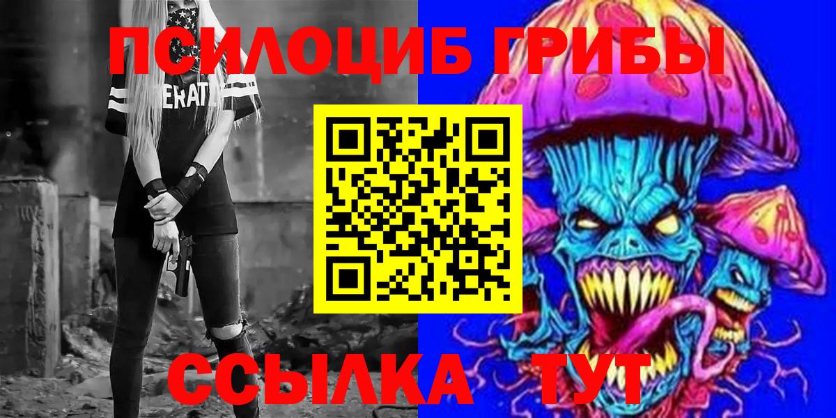 Галлюциногенные грибы Psilocybine cubensis Зима