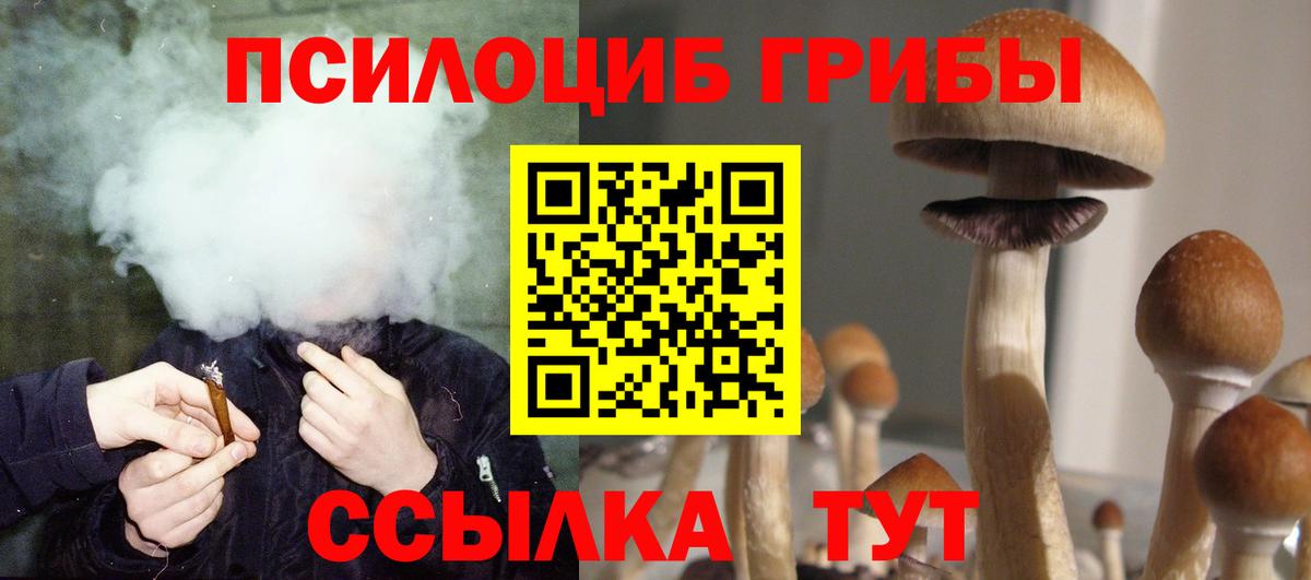 Галлюциногенные грибы Psilocybe  Псилоцибиновые грибы Psilocybine cubensis  Вход с VPN  Зима 